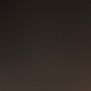 Meet your Posher, Rose